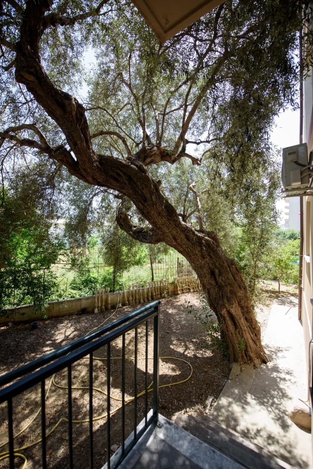 Olivium Rooms Vlore Exterior photo